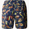 Шорты TNF Class V Pathfinder Pull-On Short (Мужской; S; SummitNavy HandTiedFlyPrint)